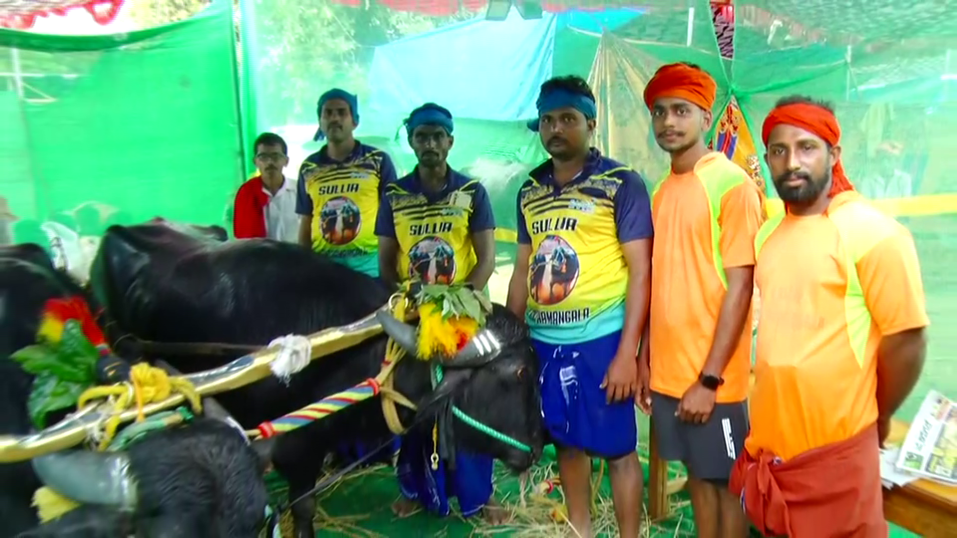 bengaluru-kambala-competition-etv-india-interview-with-sulya-mangala-kambal-team-leader