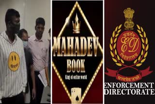 Mahadev app