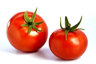 Tomato for Health News