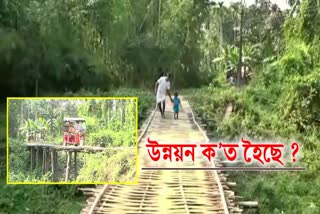 Dilapidated Bamboo bridge