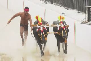 Namma Kambala in Bengaluru