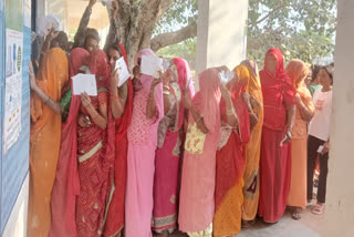 55 per cent voting turnout till 3 PM in Chittorgarh