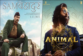 The anticipated arrival of December 1st will be marked by the release of two major Bollywood films that have garnered much excitement. One of these eagerly awaited films is Animal, starring Ranbir Kapoor, while the other is the biographical war drama Sam Bahadur, featuring Vicky Kaushal. Both films are set to clash at the box office, with expectations leaning towards Animal dominating and surpassing Sam Bahadur.