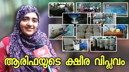 arifa milk spl story  ഇന്ന് ദേശീയ ക്ഷീര ദിനം  Dairy Farming Of Arifa In Kasaragod  ദേശീയ ക്ഷീര ദിനം  പശുവളര്‍ത്തലില്‍ വിജയ ഗാഥ  പശു ഫാം  കാസര്‍കോട് വാര്‍ത്തകള്‍  കാസര്‍കോട് ജില്ല വാര്‍ത്തകള്‍  കാസര്‍കോട് പുതിയ വാര്‍ത്തകള്‍  kerala news updates  latest news in kerala