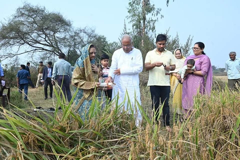 CM Bhupesh amidst fields