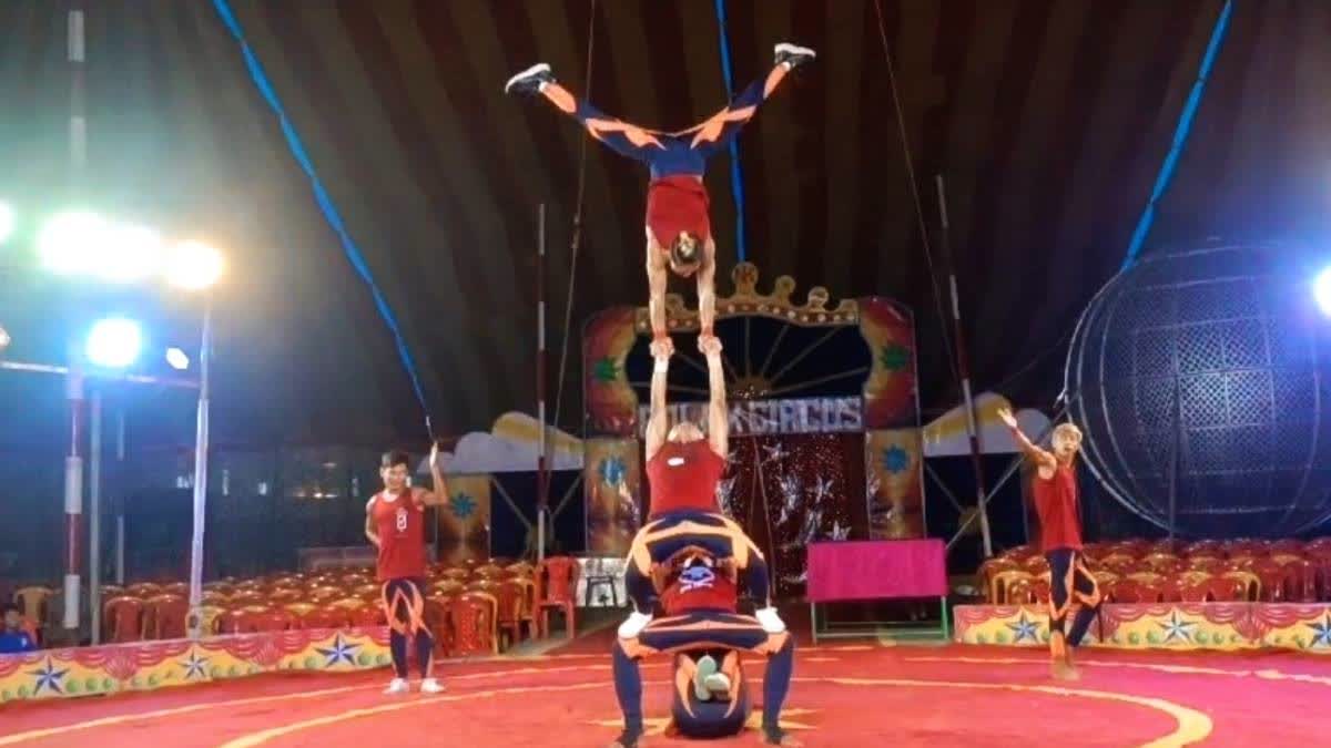 Baruipur circus