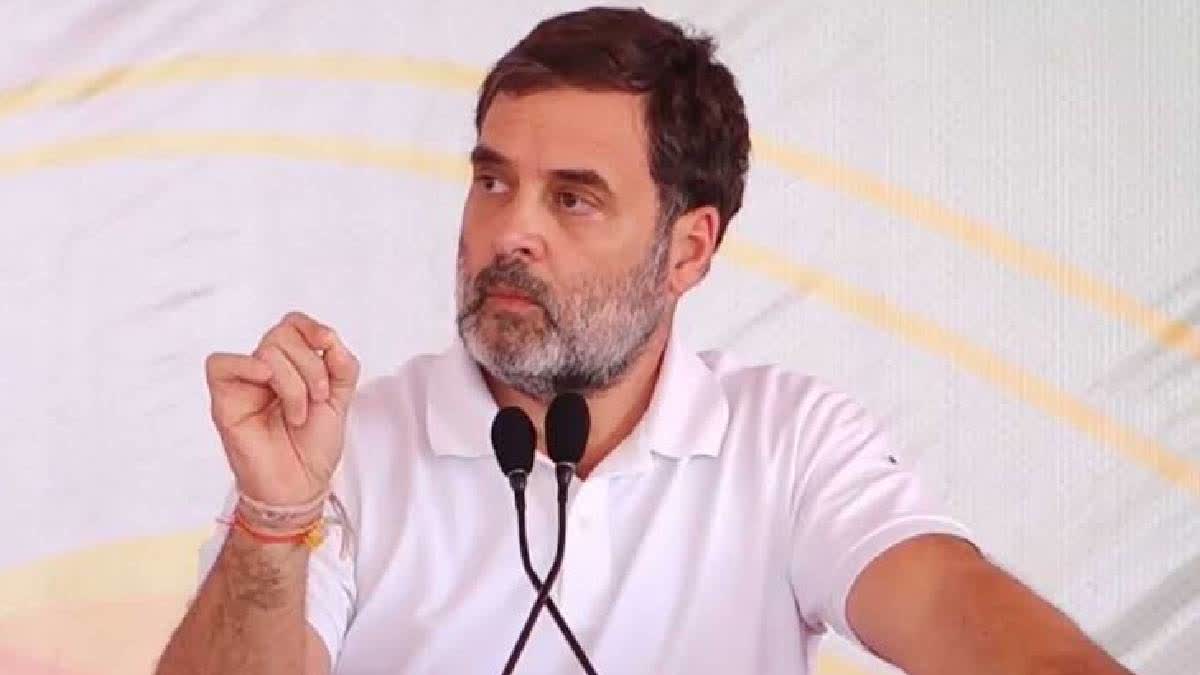 Allahabad High Court To Hear Rahul Gandhi's Citizenship Case Today