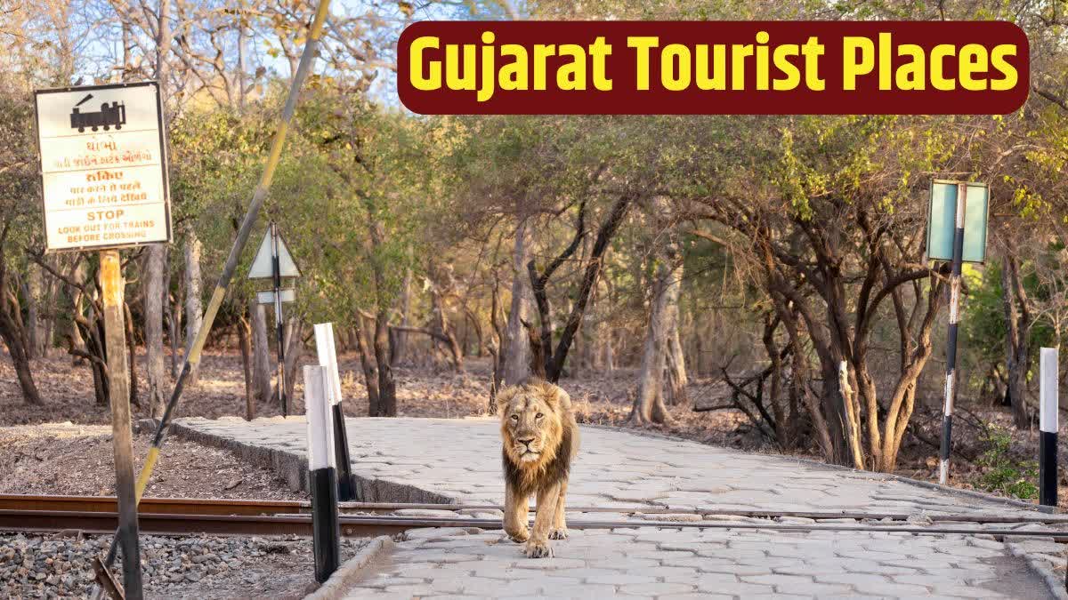 Gujarat's Tourist Destinations