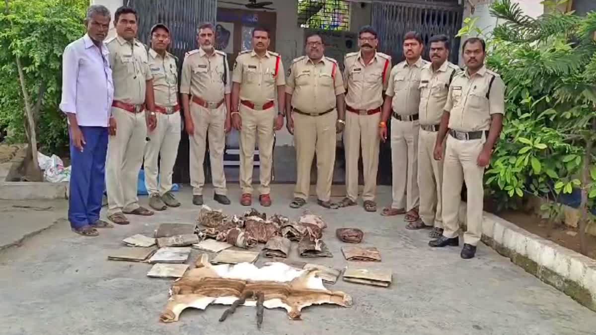 illegal_trafficking_of_deer_skins.