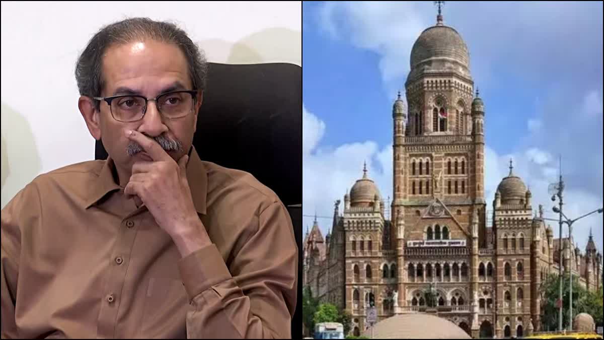 Upcoming BMC elections battle of prestige and identity for Shiv Sena Thackeray faction