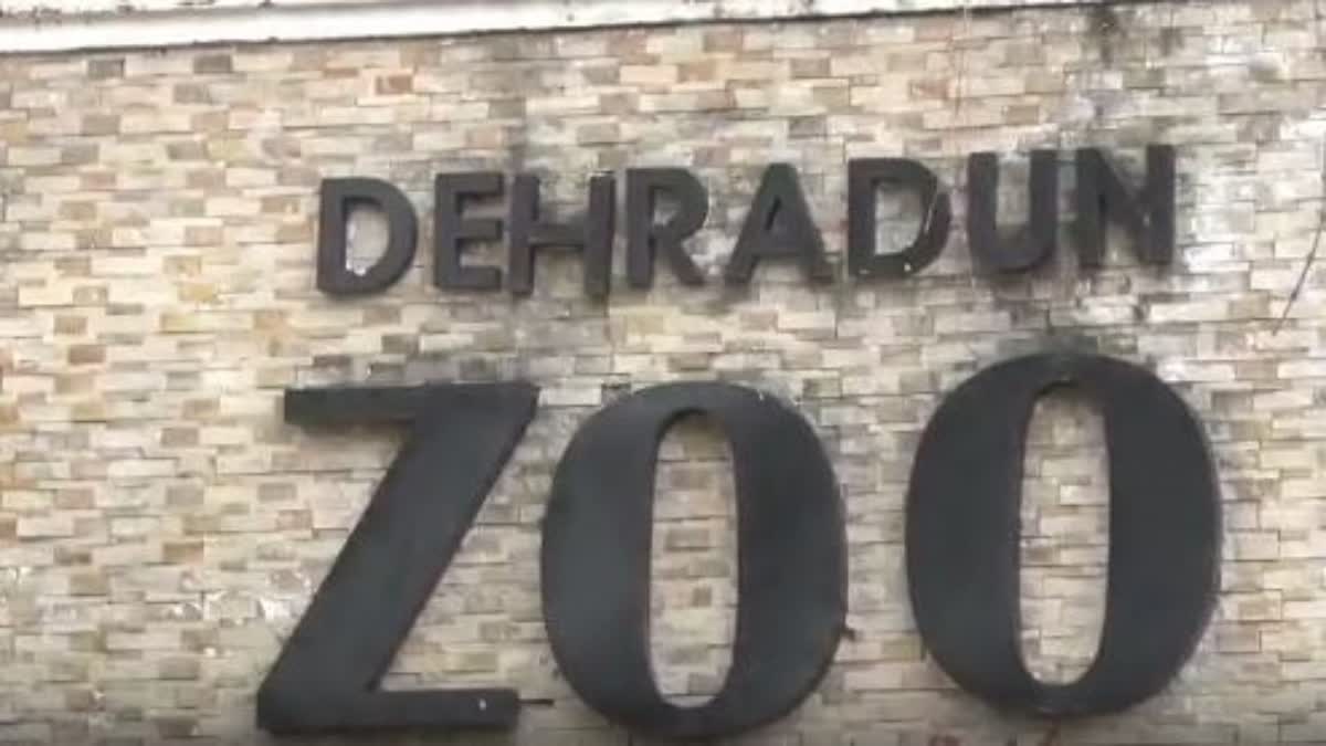 DEHRADUN ZOO