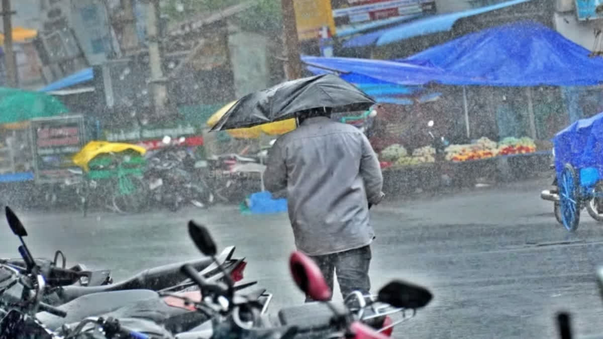 Heavy Rains Expected In Tamil Nadu; Schools, Colleges Closed in Nagapattinam