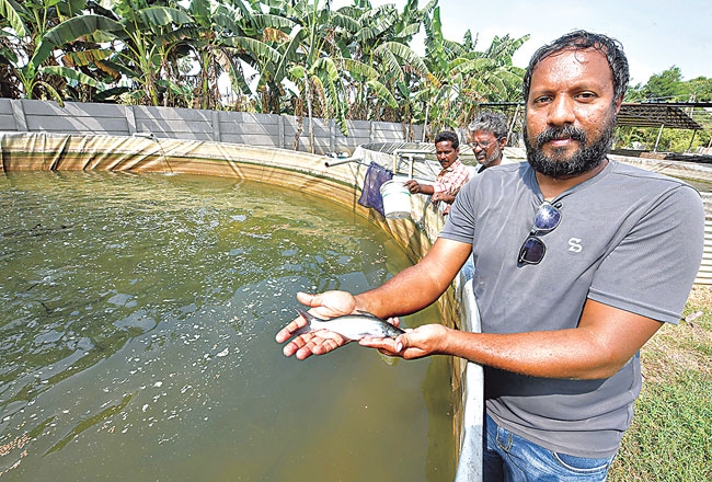 fish_farming_while_working_in_it