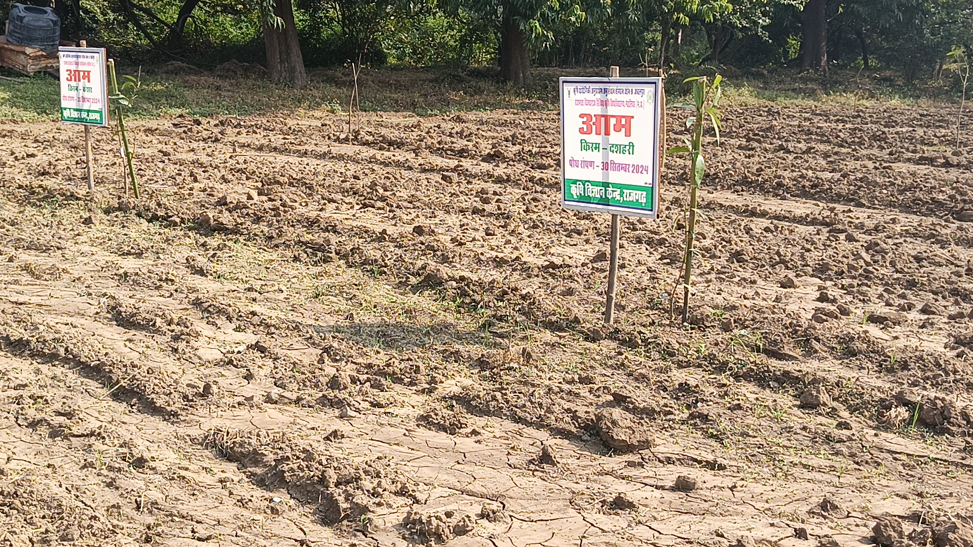 Rajgarh Agricultural Science Center