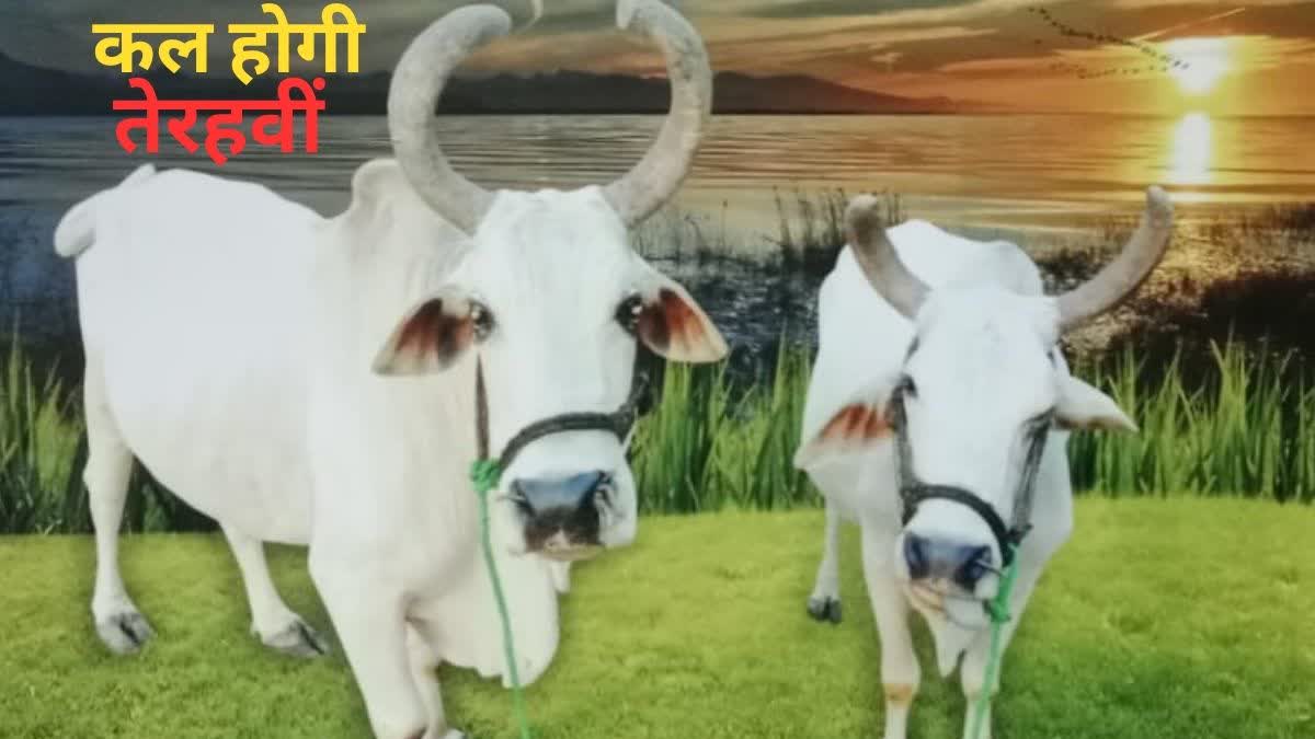 ्िेप