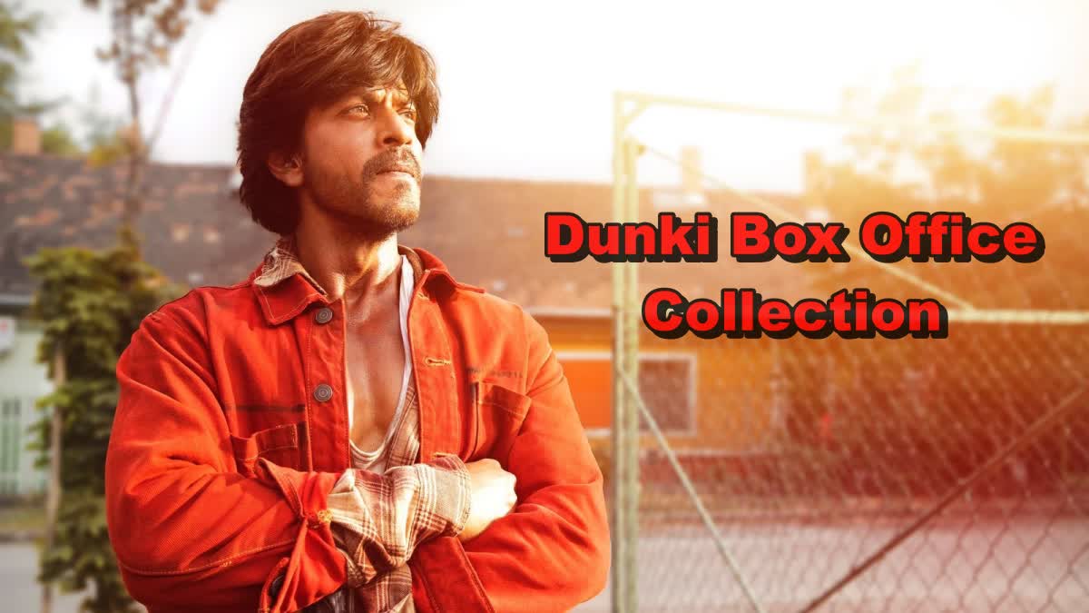 Dunki Collection