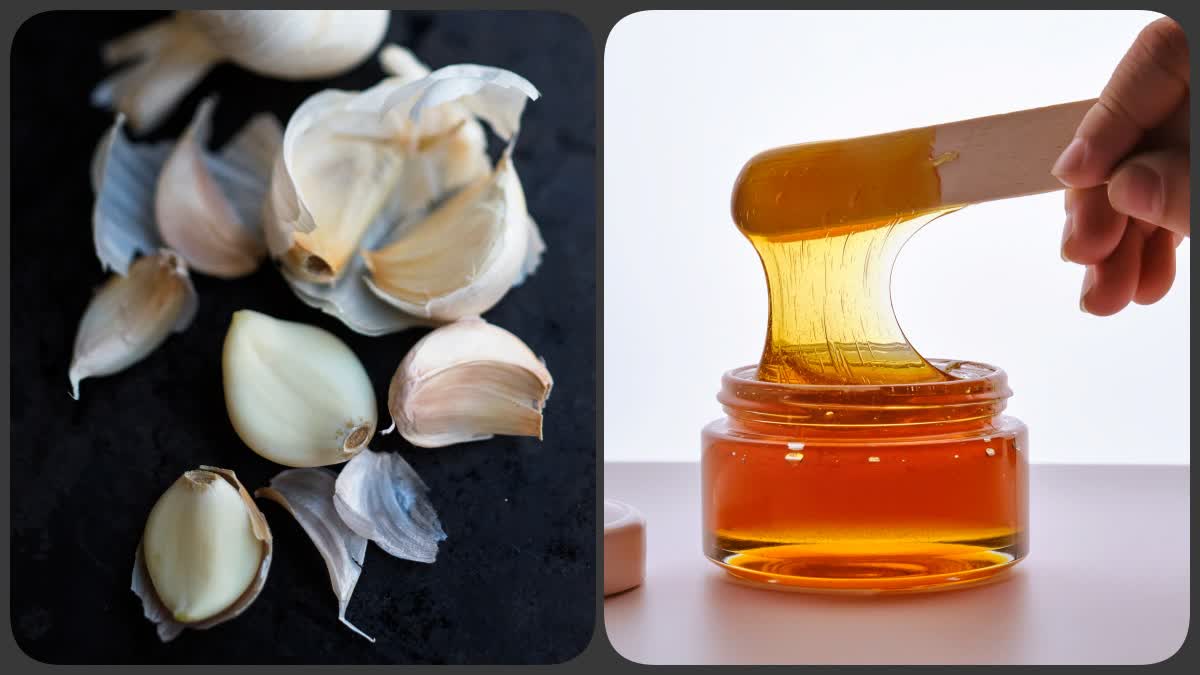 Garlic Honey Benefits