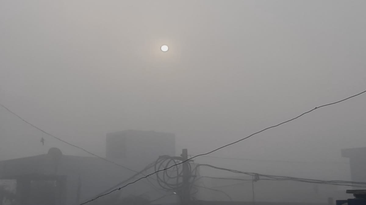 Haryana Weather Alert Fog Peoples Shivering Cold Attack Orange Alert Early Morning Heavy Fog IMD Haryana News