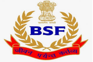 The BSF arrested three smugglers who were trying to get away with the consignment of heroin in Punjab's Amritsar