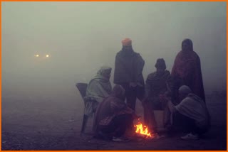 Haryana Weather Update cold in haryana Orange Alert in Haryana