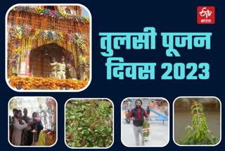 Tulsi Puja Day 2023