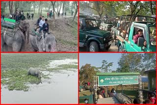 Kaziranga is bustling with tourists