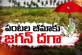 ycp_government_left_from_crop_insurance