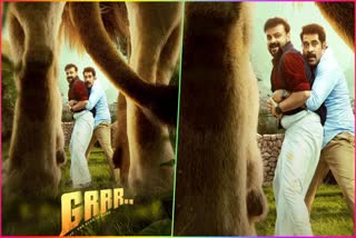 Grrr First look poster  Grrr movie  Grrr First look  Grrr poster  Kunchacko Boban Suraj Venjaramoodu movie Grrr  Kunchacko Boban Suraj Venjaramoodu movie  സിംഹത്തിന്‍റെ മുന്നില്‍ പെട്ട കുഞ്ചാക്കോ  ഗര്‍ര്‍ര്‍ ഫസ്‌റ്റ് ലുക്ക് പോസ്‌റ്റര്‍  ഗര്‍ര്‍ര്‍ സിനിമ  ഗര്‍ര്‍ര്‍ ഫസ്‌റ്റ് ലുക്ക്  ഗര്‍ര്‍ര്‍ പോസ്‌റ്റര്‍  Kunchacko Boban  Suraj Venjaramoodu  കുഞ്ചാക്കോ ബോബൻ