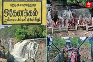due to half yearly exam holidays tourists flock at hogenakkal falls in Dharmapuri