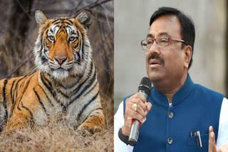 Tiger Conservation Efforts