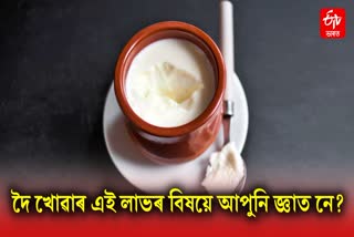 Amazing health benefits of eating curd every day