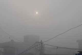 Haryana Weather Alert Fog Peoples Shivering Cold Attack Orange Alert Early Morning Heavy Fog IMD Haryana News