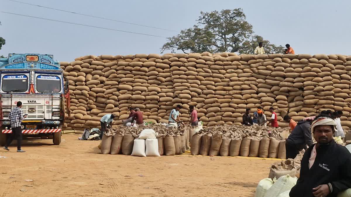 Jashpur paddy procurement center