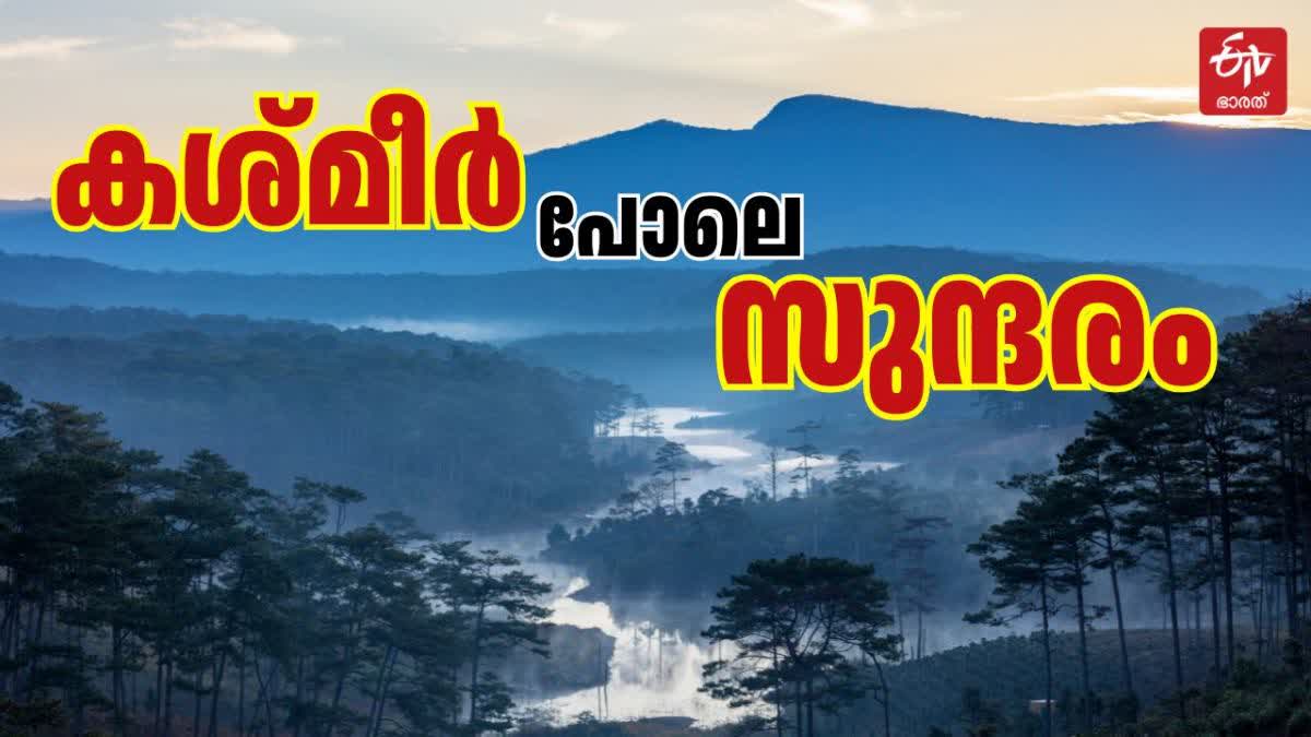 MUNNAR BELOW ZERO TEMPERATURE  IDUKKI WEATHER UPDATES  IDUKKI TOURISM SPOT  മൂന്നാറില്‍ കൊടും തണുപ്പ്