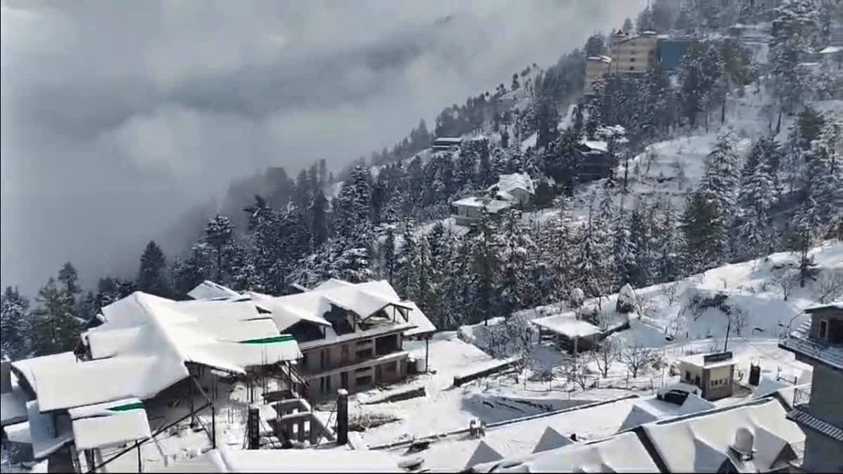 Shimla Turns Winter Wonderland: Snowfall And Carnival Welcome Tourists ...