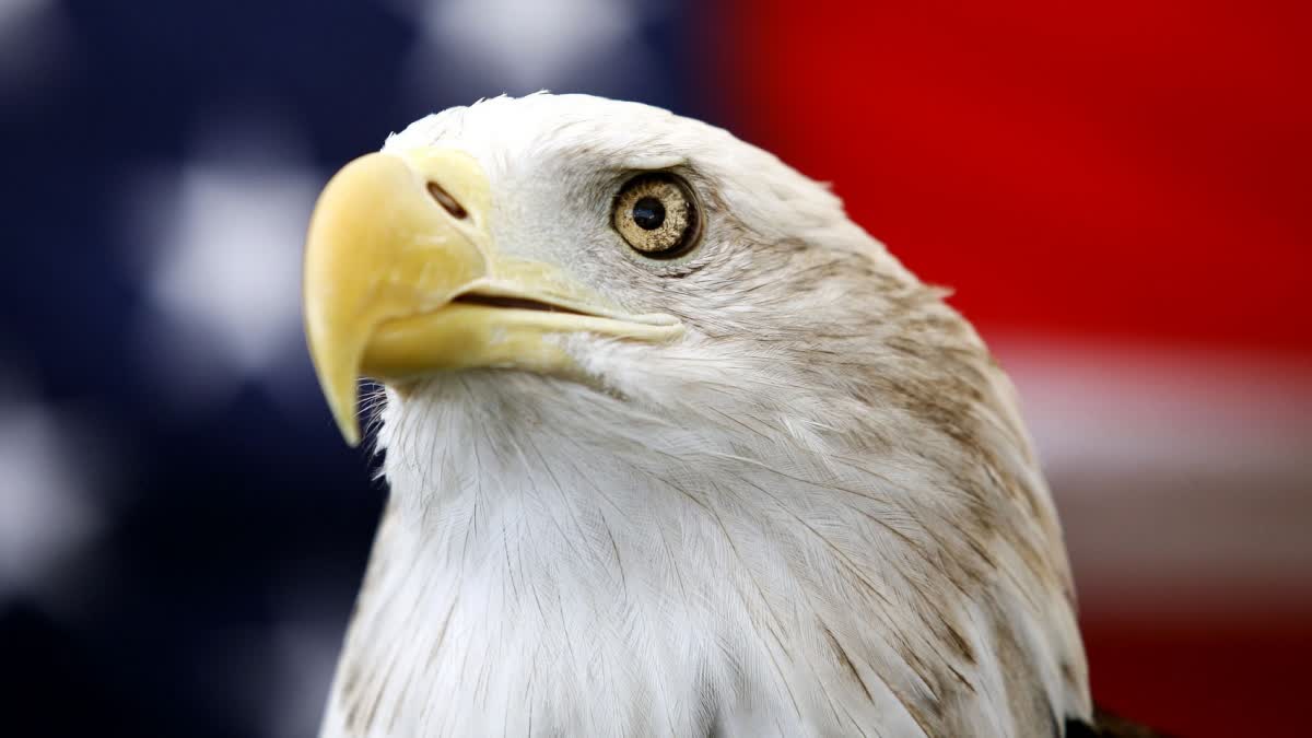 President Joe Biden  United States  bald eagle  Great Seal