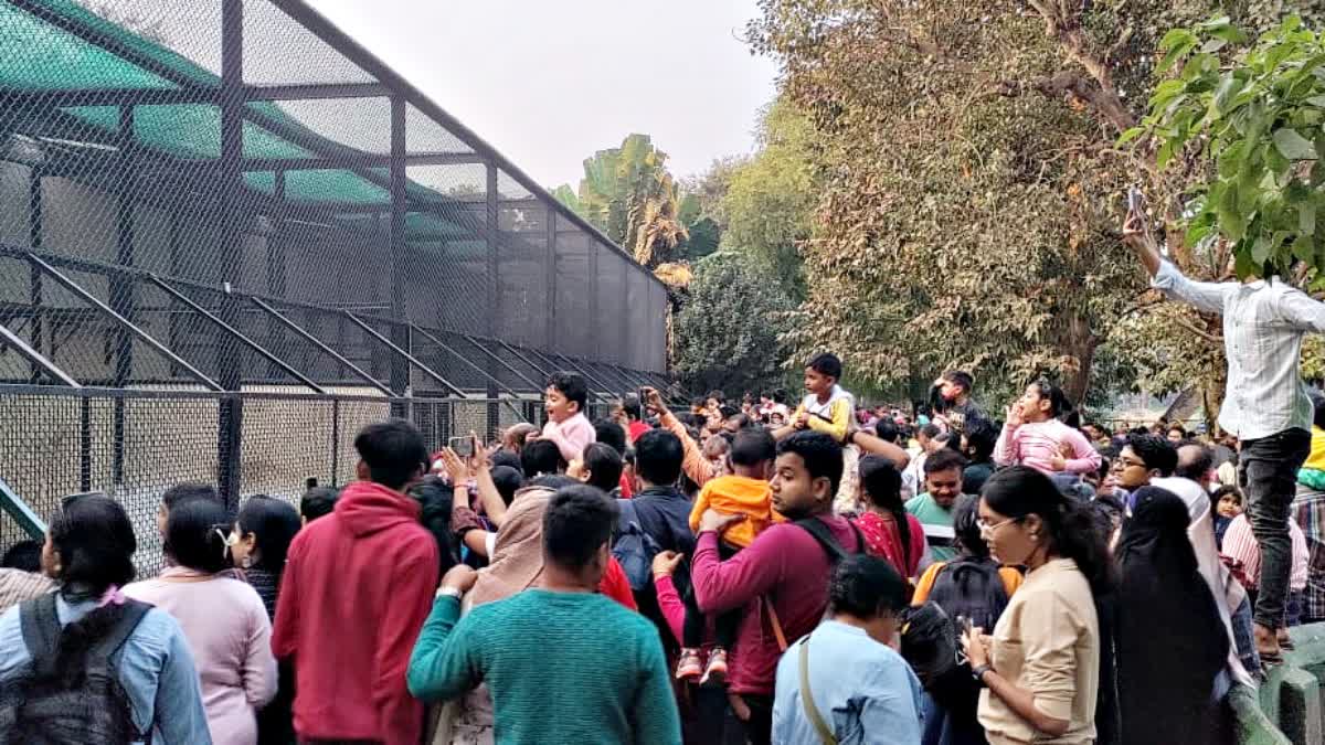 Gathering of People in front of Cage