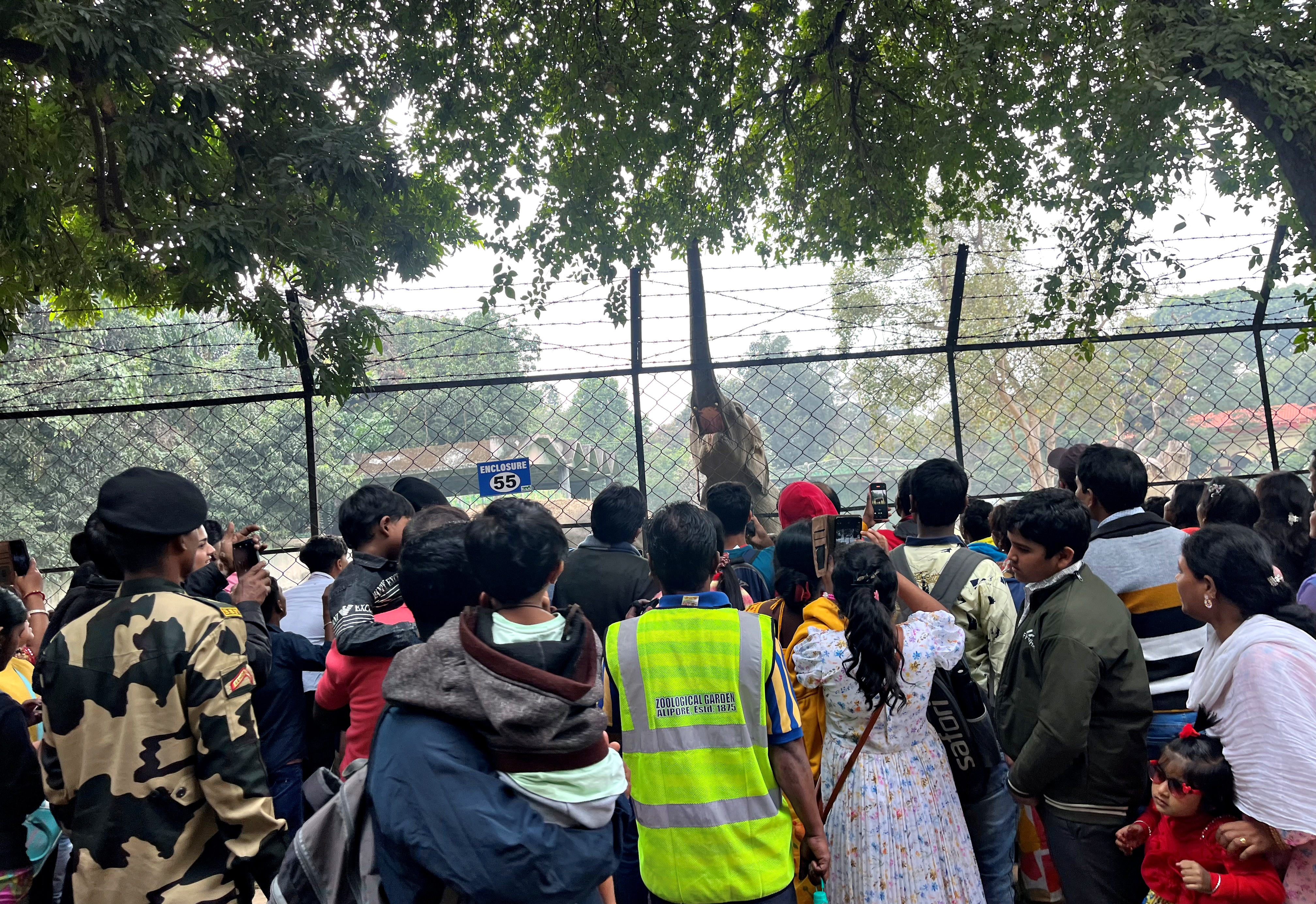 Gathering In front of Elephant Cage