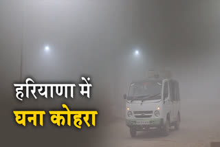 Fog in Bhiwani