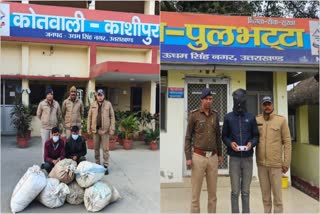 DRUG SMUGGLER ARRESTED IN RUDRAPUR