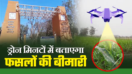 automatic drone to treat crop diseases