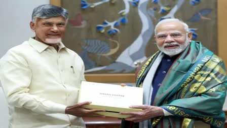 CM Chandrababu met PM Modi