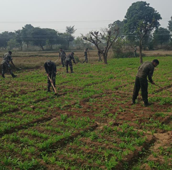 Opium Cultivation In Khunti