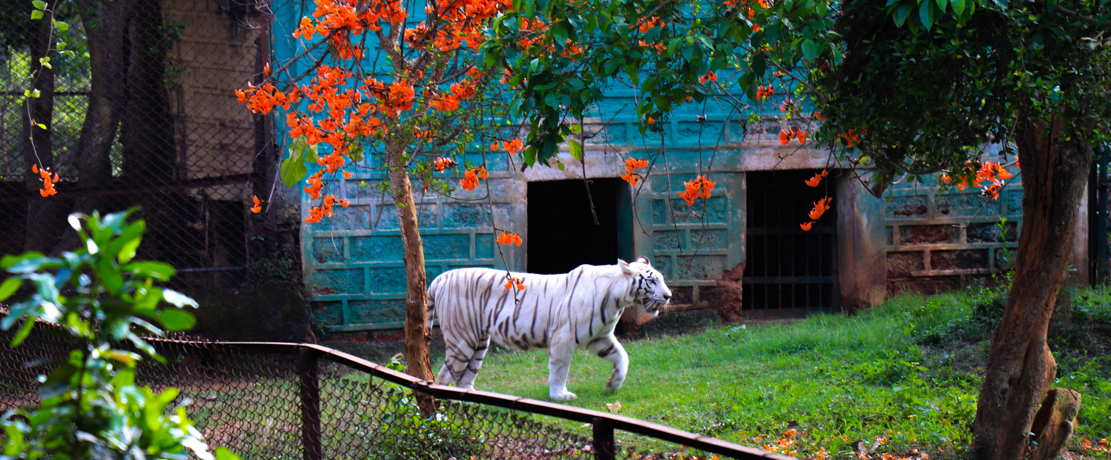 Nandankanan Zoological Park