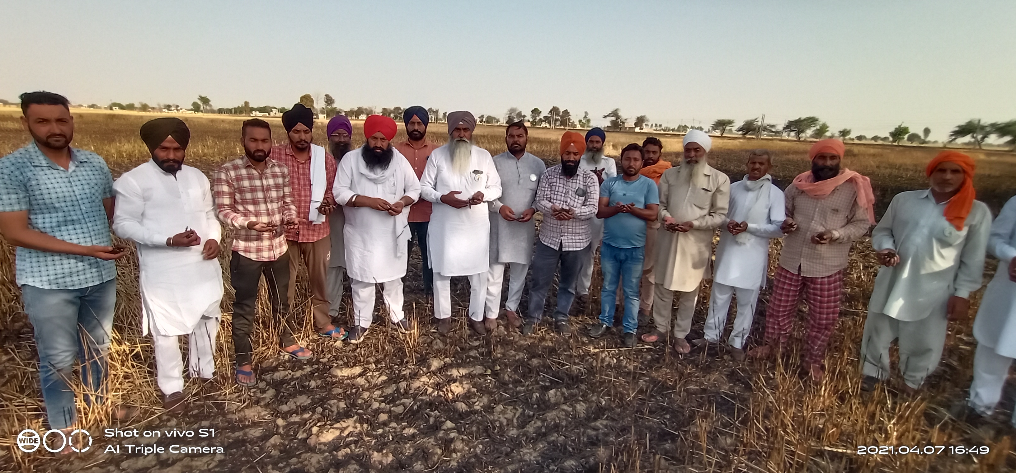 guhla cheeka 15 acres wheat crop burn, गुहला चीका 15 एकड़ गेहूं फसल जली