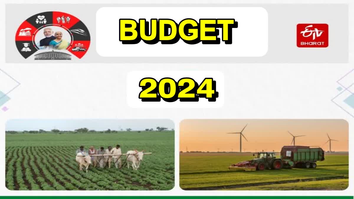Agri tech industry Incentives In 2024 Budget