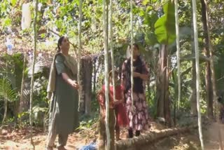 Guinness World Record  Snake gourd grown in Kothamangalam  പടവലങ്ങ  ഗിന്നസ് റേക്കോർഡ്