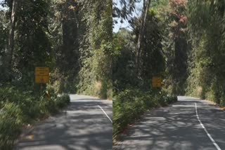 കൊച്ചി ധനുഷ്‌ക്കോടി ദേശിയപാത  Kochi Dhanushkodi National Highway  Danger on Kochi Dhanushkodi Highway  കൊച്ചി ധനുഷ്‌ക്കോടി റോഡ് അപകടസാധ്യത
