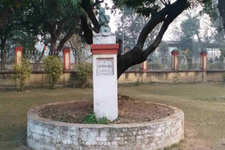 What does 'Jana Tantra Tree' planted 74 years ago on BHU campus stands for; know in detail