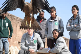 154 birds released after treatment